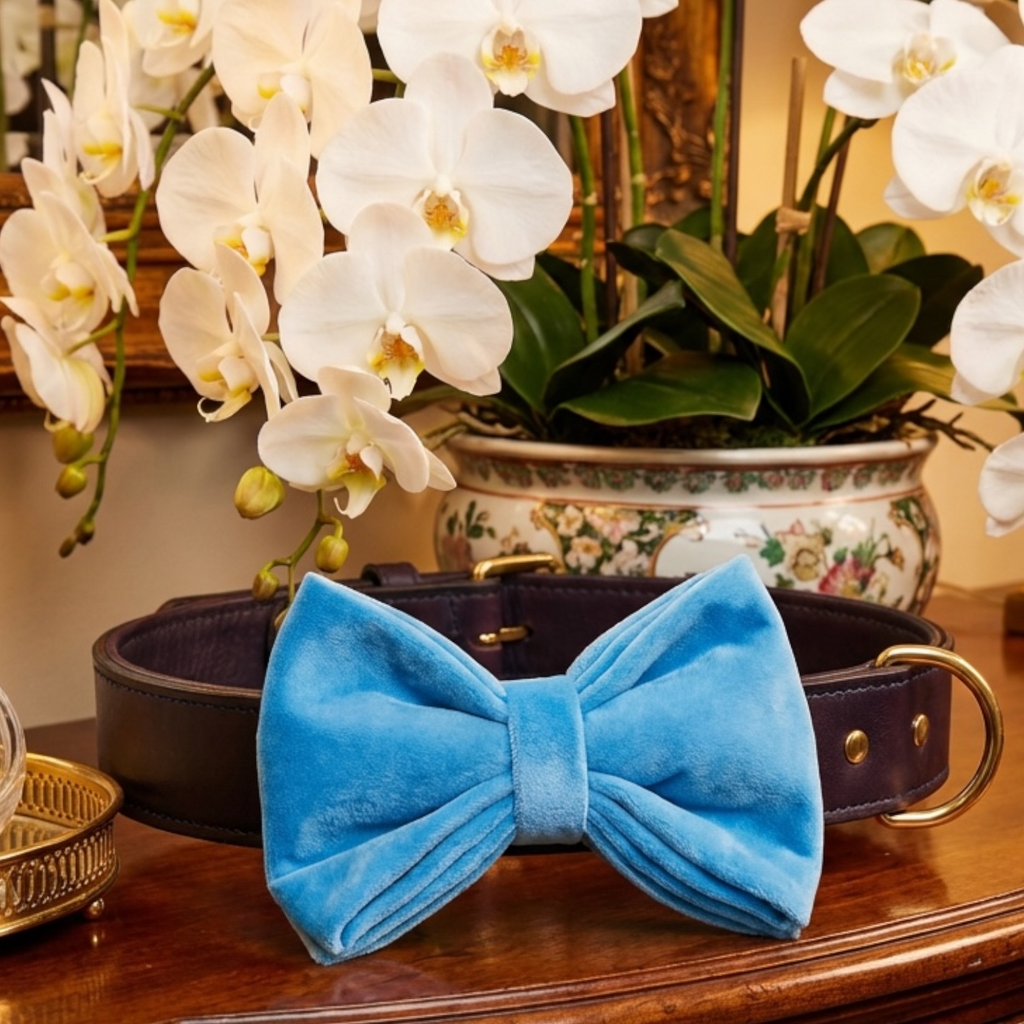 The Windsor Velvet Bright Sky Blue Bow Small