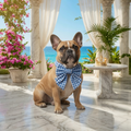 The Balmoral Gingham Bow Medium