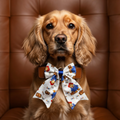 Paddington Bear Sailor Bow