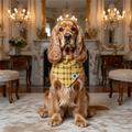 Heritage Plaid Tie Up Bandanna Medium