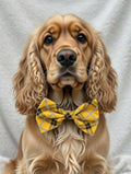 Heritage Plaid Slide On Collar Bow