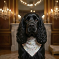 Barkshire Pastel Paw & Bone Print Dog Bandanna