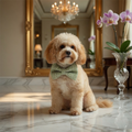 The Maison Couture Pistachio Collar Bow