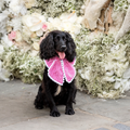 Rosewood Manor Luxe Bow Medium
