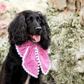Rosewood Manor Luxe Collar Bow XL