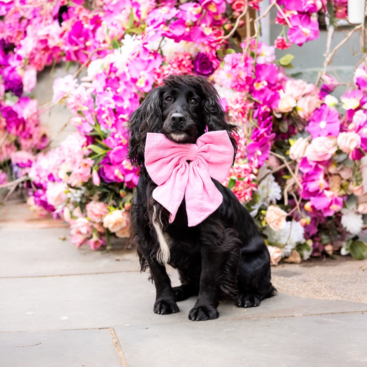 The Rose Royale Bow Xl