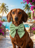 The Balmoral Gingham Bow Medium