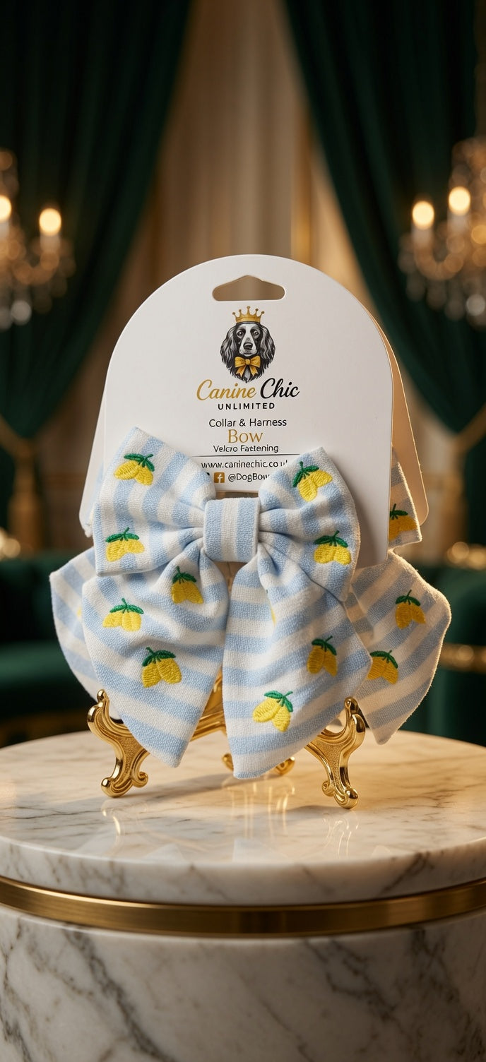 The Windsor Citron Bow Medium