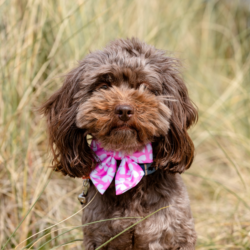 The Baby Pink Dutches Bow Medium